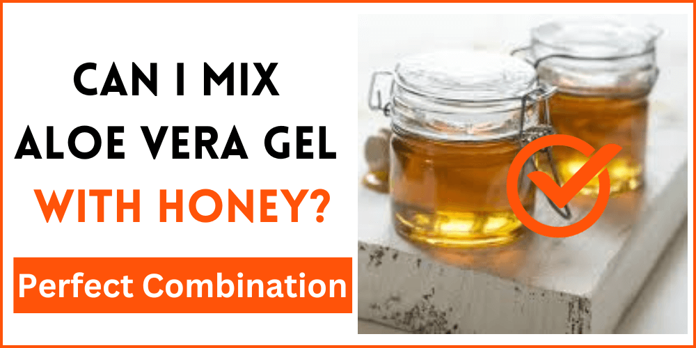 Can I Mix Aloe Vera Gel With Honey