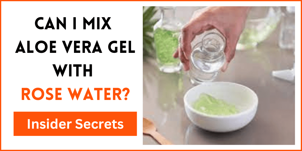 Can I Mix Aloe Vera Gel With Rose Water