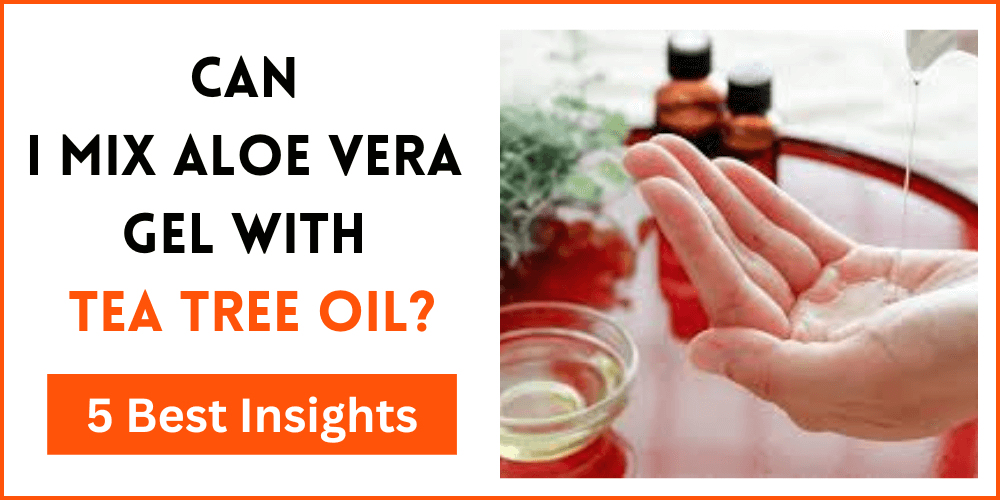 Can I Mix Aloe Vera Gel With Tea Tree Oil