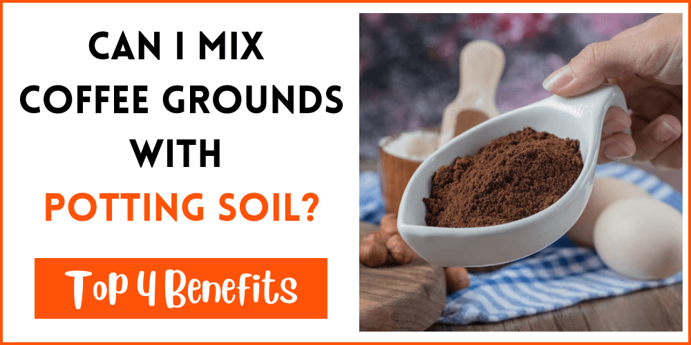 Can I Mix Coffee Grounds With Potting Soil