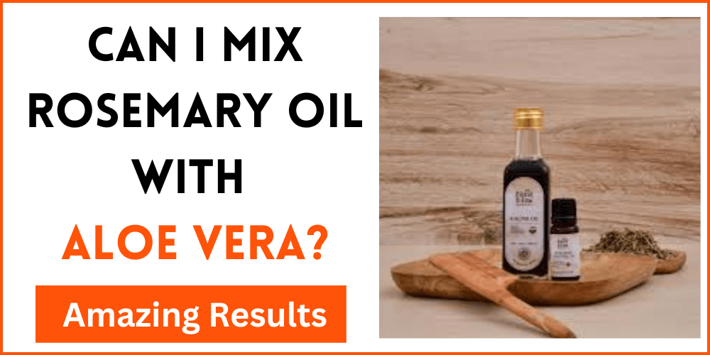 Can I Mix Rosemary Oil With Aloe Vera
