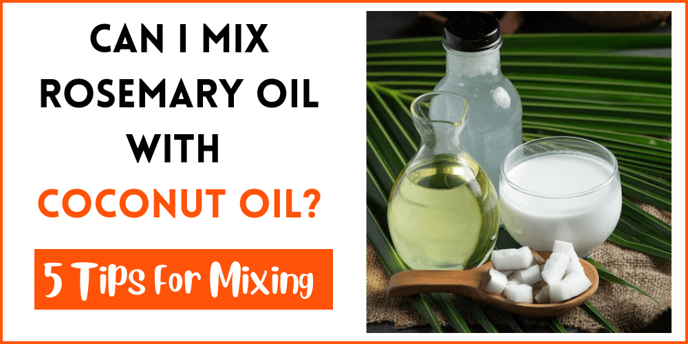 Can I Mix Rosemary Oil With Coconut Oil