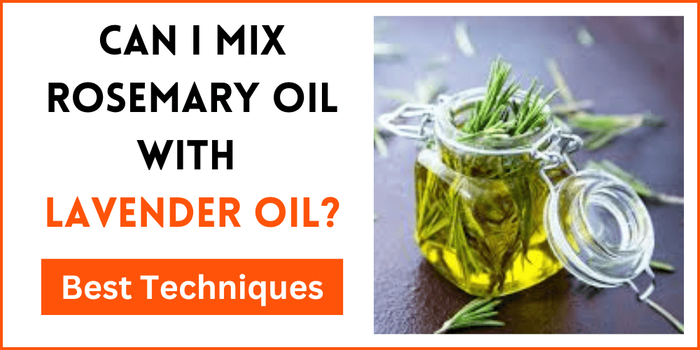 Can I Mix Rosemary Oil With Lavender Oil