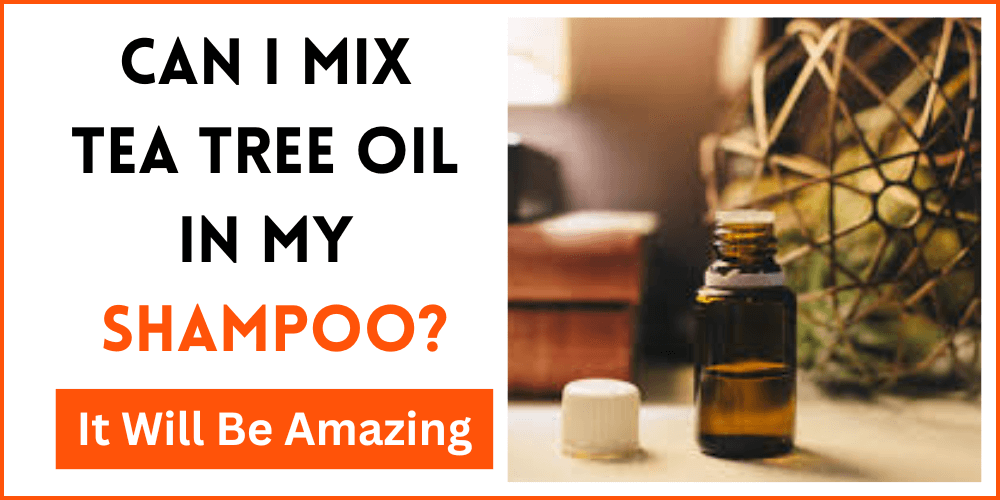 Can I Mix Tea Tree Oil In My Shampoo