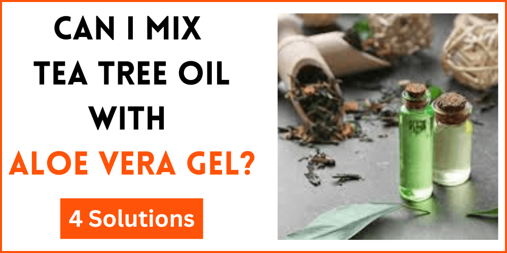 Can I Mix Tea Tree Oil With Aloe Vera Gel