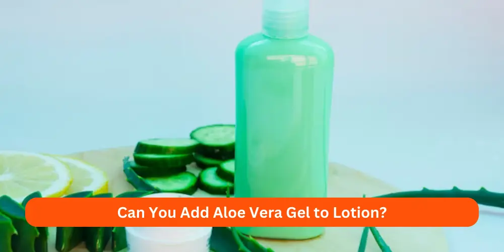 Can You Add Aloe Vera Gel to Lotion