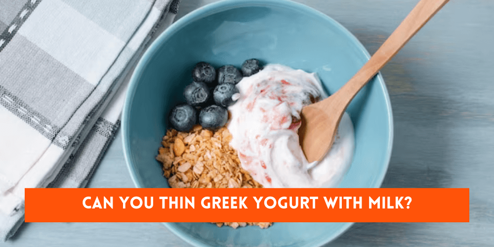 Can You Thin Greek Yogurt With Milk