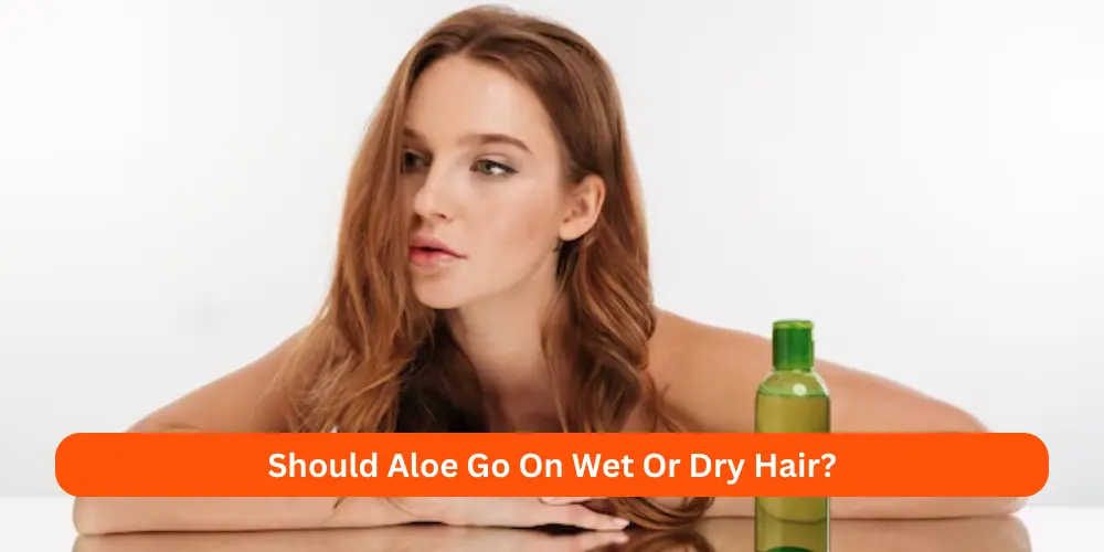 Should Aloe Go On Wet Or Dry Hair