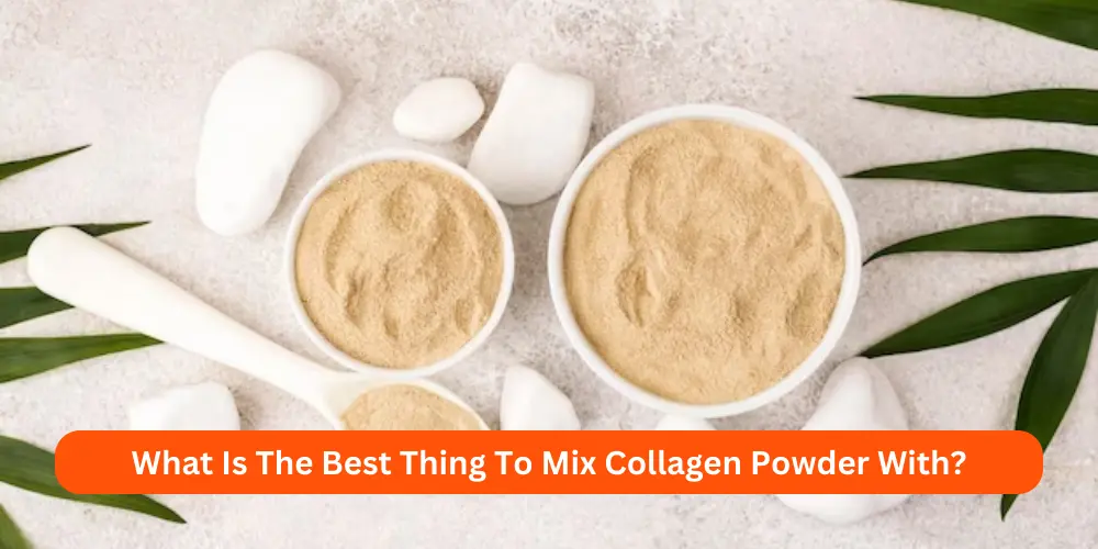 What Is The Best Thing To Mix Collagen Powder With