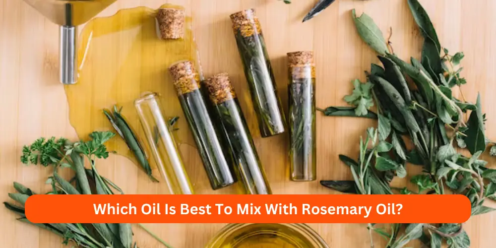 Which Oil Is Best To Mix With Rosemary Oil