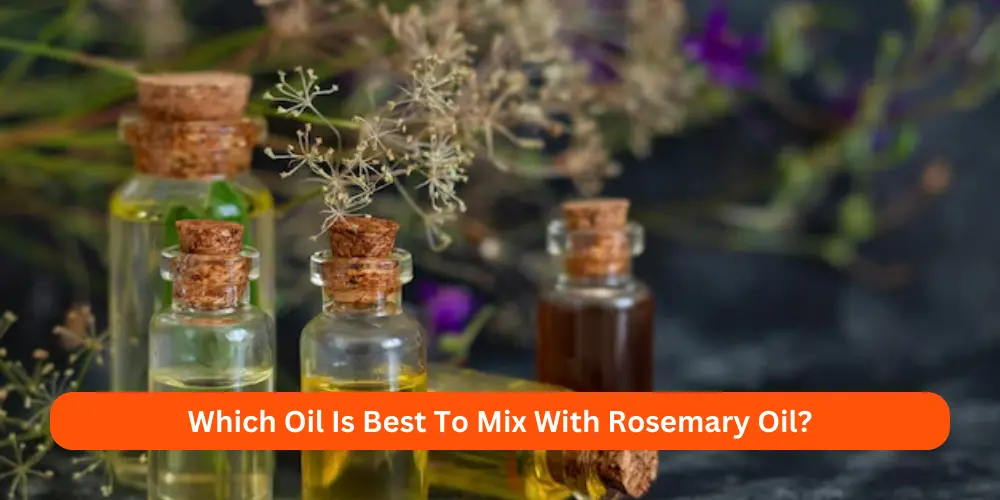 Which Oil Is Best To Mix With Rosemary Oil
