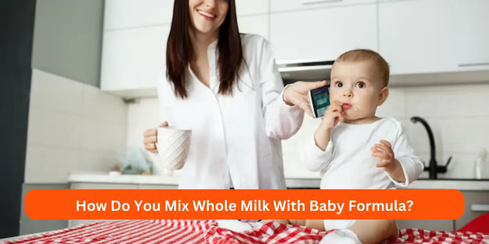 How Do You Mix Whole Milk With Baby Formula