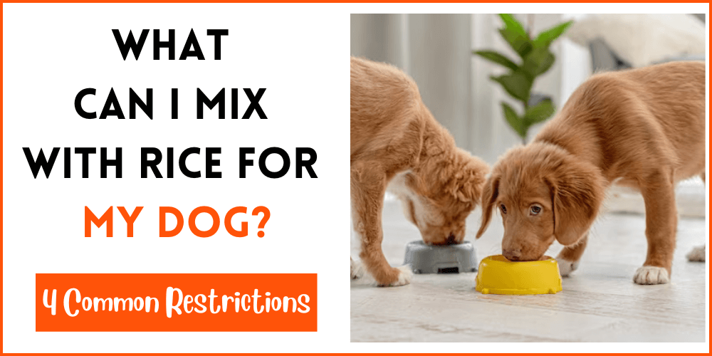 What Can I Mix With Rice For My Dog