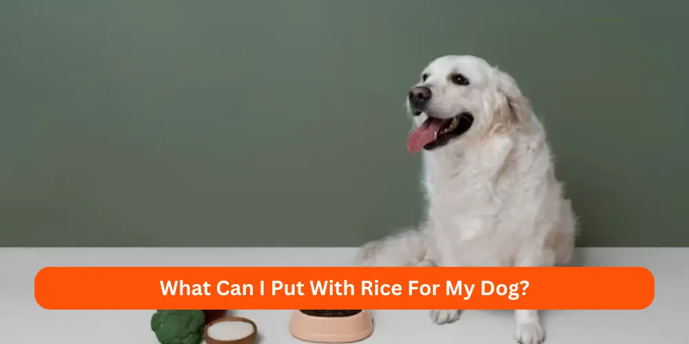 What Can I Put With Rice For My Dog