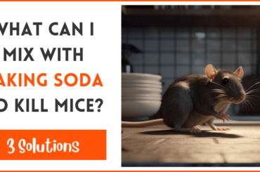 What Can I Mix With Baking Soda To Kill Mice