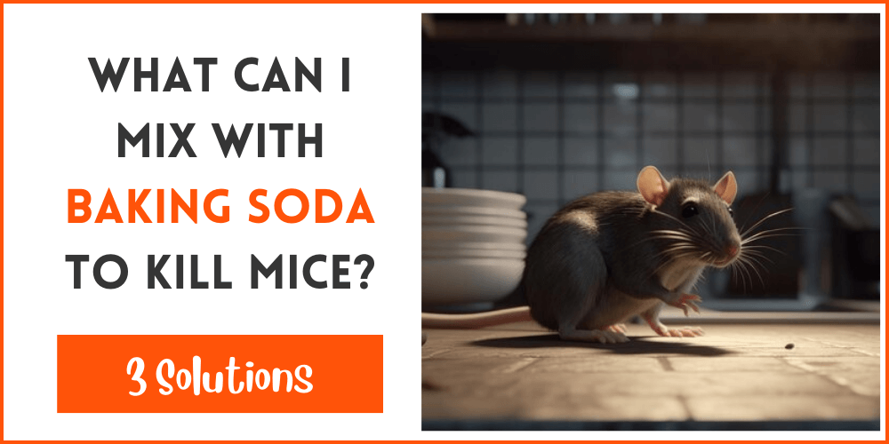 What Can I Mix With Baking Soda To Kill Mice